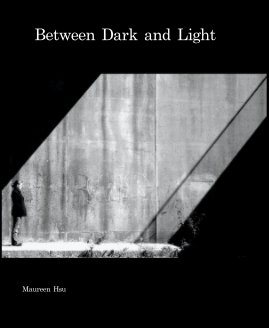 Between Dark and Light book cover