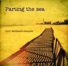 Parting the sea book cover
