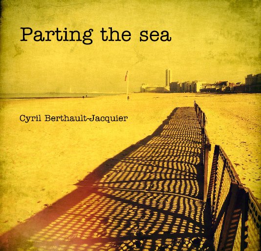 View Parting the sea by Cyril Berthault-Jacquier
