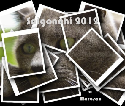 Saigonohi 2012 book cover