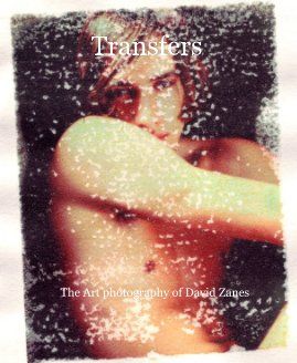 Transfers The Art photography of David Zanes book cover