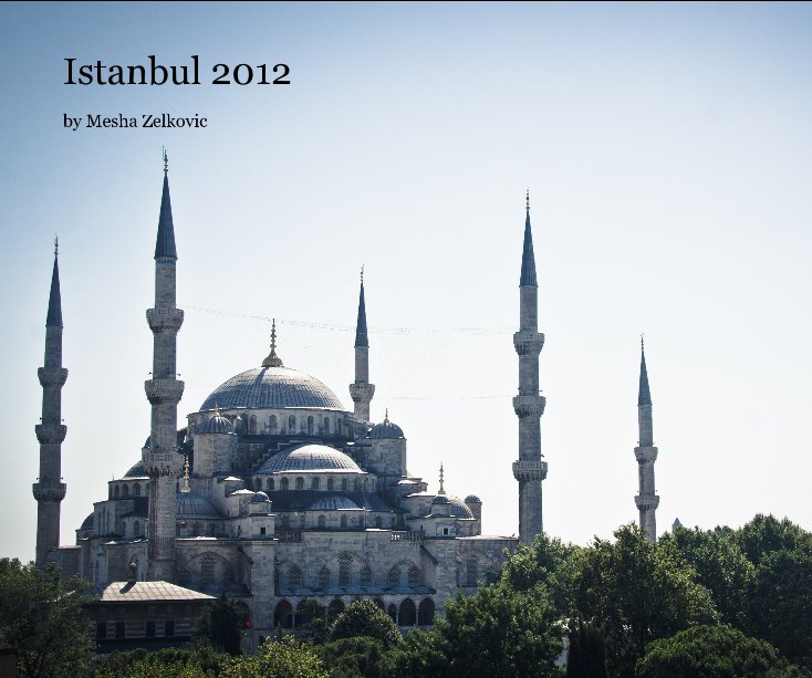 View Istanbul 2012 by Mesha Zelkovich