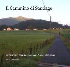 Il Cammino di Santiago book cover