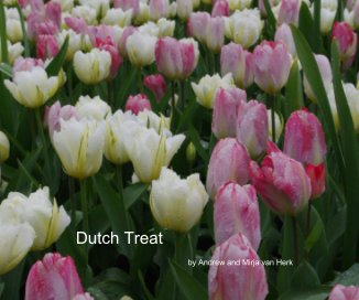 Dutch Treat book cover