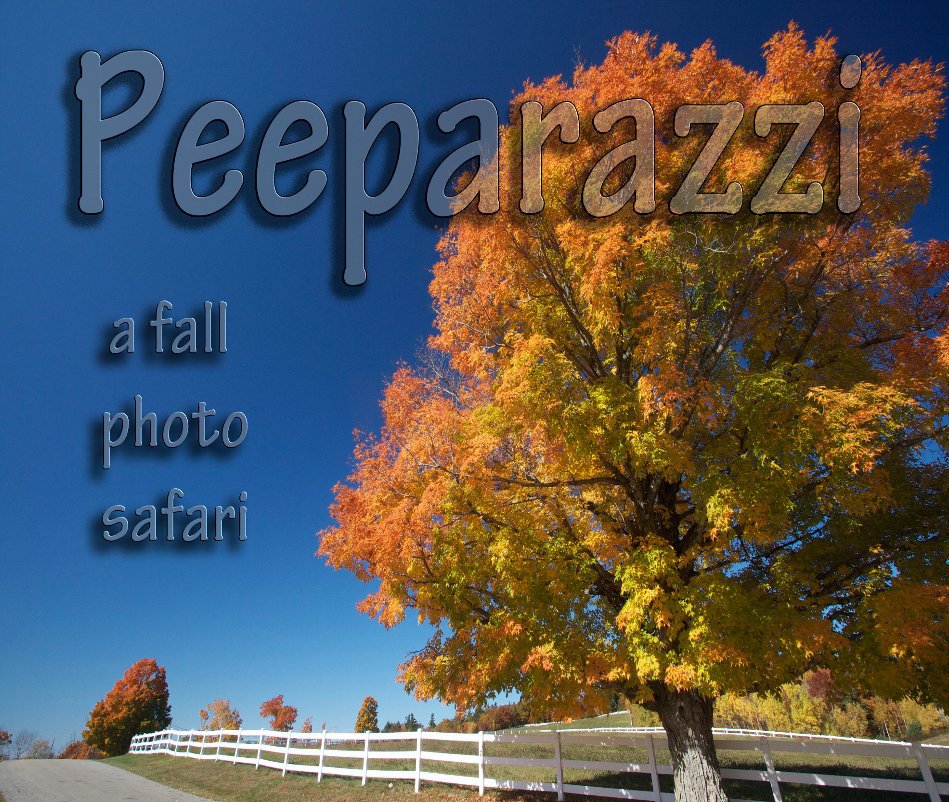 View Peeparazzi by Ken & Martha Wiseman
