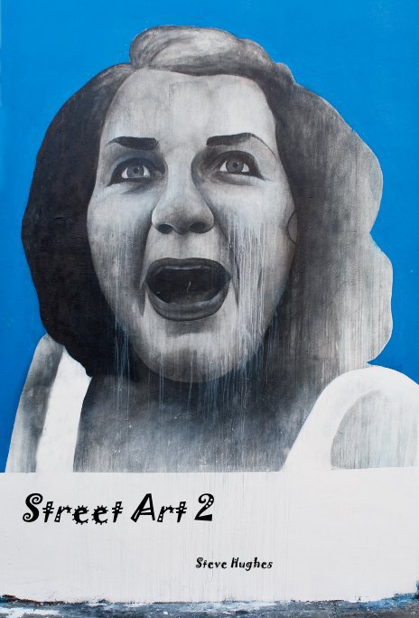 Ver Street Art 2 por Steve Hughes