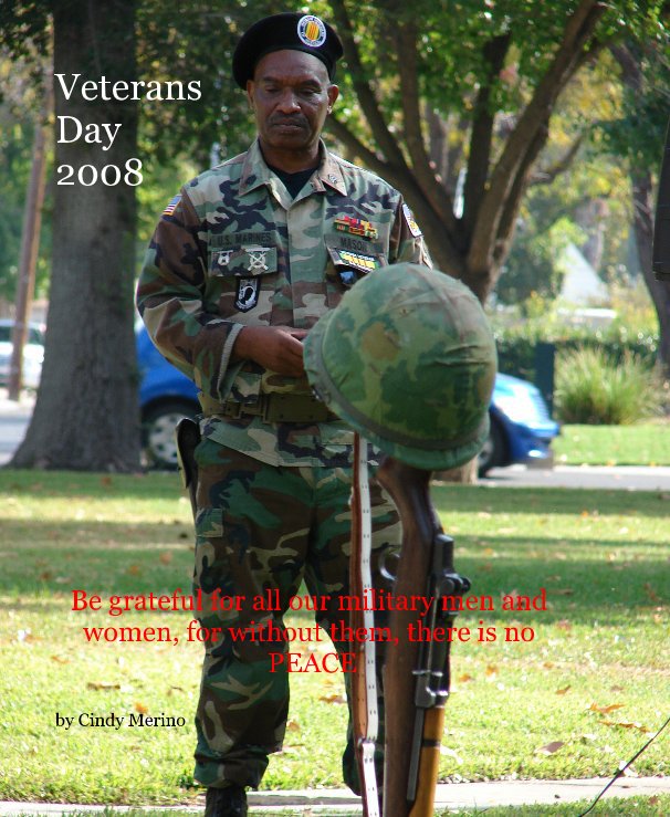 View Veterans Day 2008 by Cindy Merino