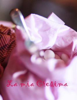 La mia Cresima book cover