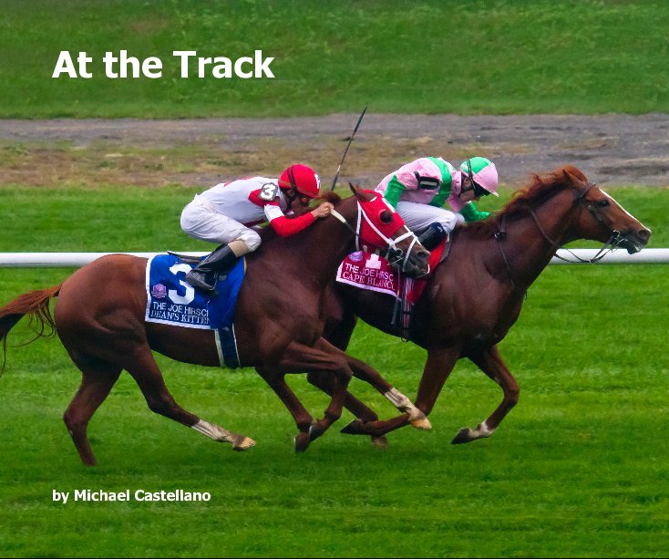 View At the Track by Michael Castellano