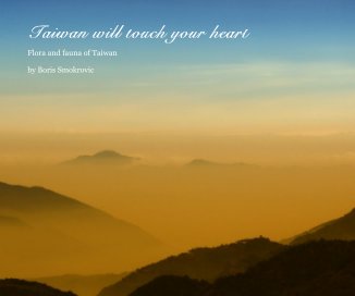 Taiwan will touch your heart book cover
