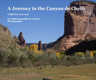A Journey in the Canyon de Chelly book cover