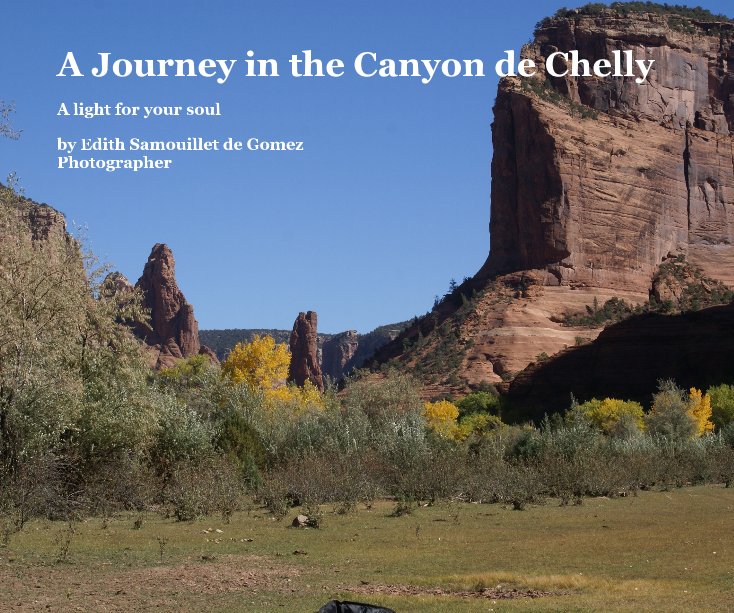 View A Journey in the Canyon de Chelly by Edith Samouillet de Gomez Photographer