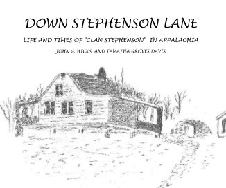 DOWN STEPHENSON LANE book cover