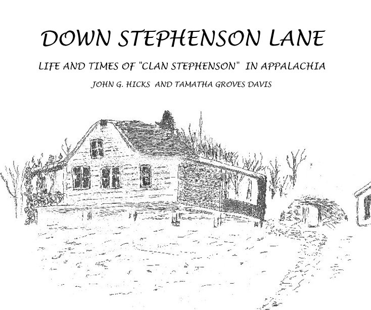 View DOWN STEPHENSON LANE by JOHN G. HICKS AND TAMATHA GROVES DAVIS