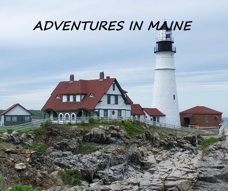 View ADVENTURES IN MAINE by DWAYNE LEE PHILBROOK