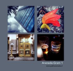 Araneda-Gram 1 book cover