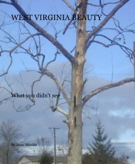 WEST VIRGINIA BEAUTY book cover