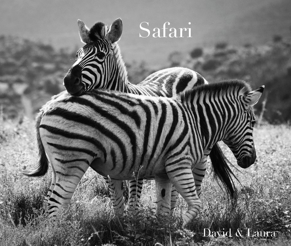 Ver Safari por David & Laura