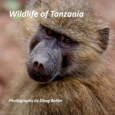Wildlife of Tanzania book cover