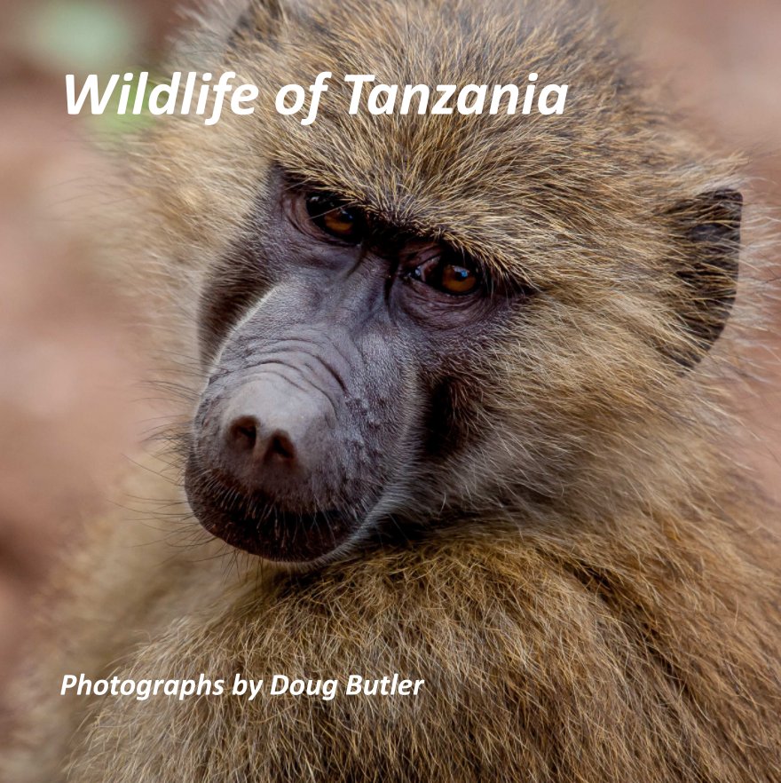 View Wildlife of Tanzania by Doug Butler
