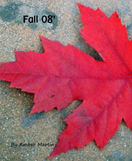 Fall 08' book cover
