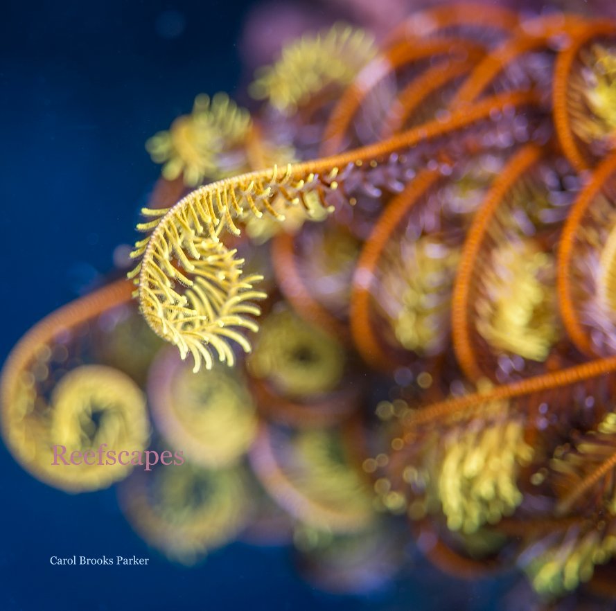 Visualizza Reefscapes di Carol Brooks Parker