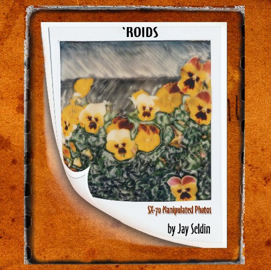 View 'ROIDS by Jay Seldin