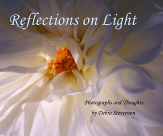 Reflections on Light Photographs and Thoughts by Debra Stevenson book cover