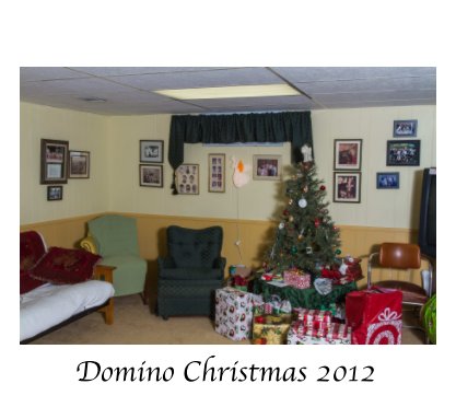Domino Christmas 2012 book cover