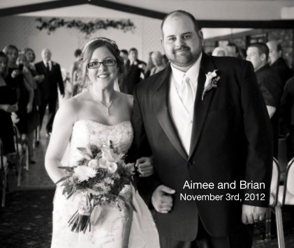 Aimee and Brian November 3rd, 2012 book cover