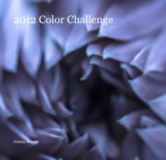 2012 Color Challenge book cover
