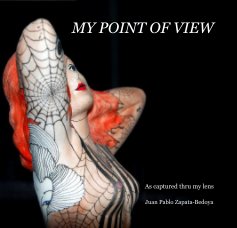 MY POINT OF VIEW book cover