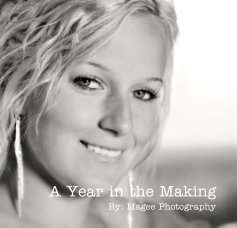 a year in the making book cover