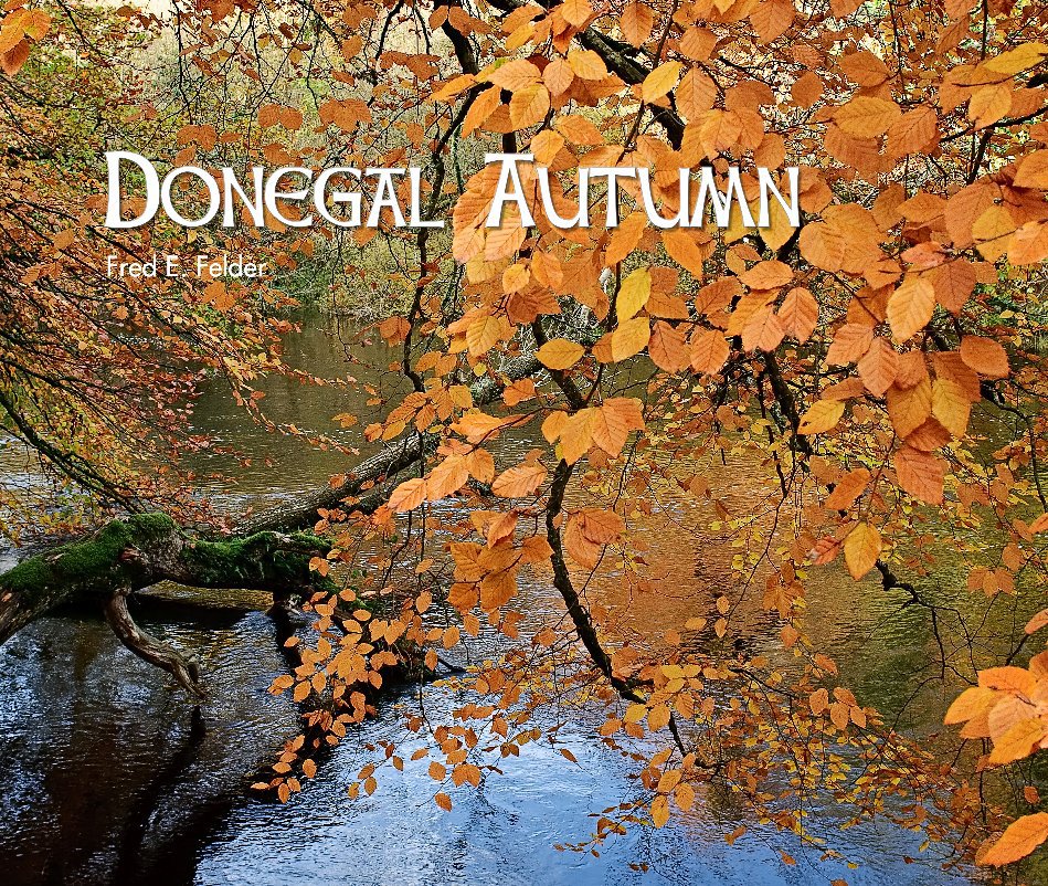 View Donegal Autumn by Fred E. Felder