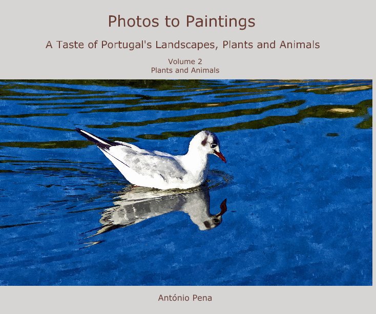 View Photos to Paintings by António Pena