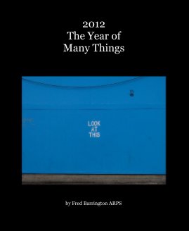 2012 The Year of Many Things book cover