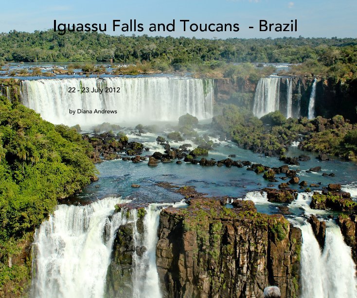 View Iguassu Falls and Toucans - Brazil by Diana Andrews
