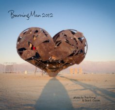 Burning Man 2012 book cover