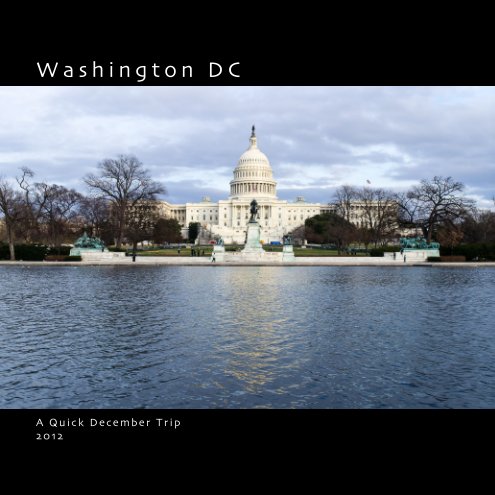 View Washington DC by Jim Rector