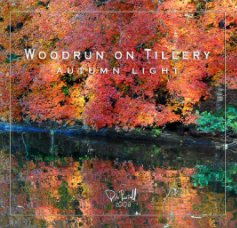 WOODRUN ON TILLERY book cover