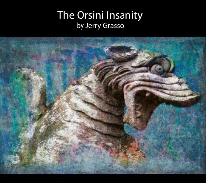 The Orsini Insanity book cover