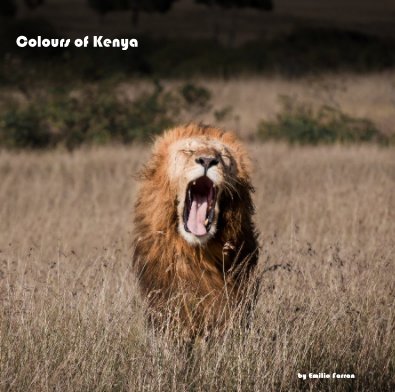 Colours of Kenya book cover