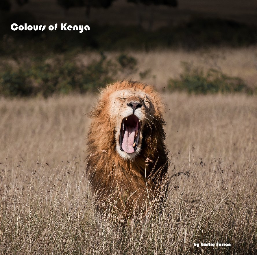 View Colours of Kenya by Emilio Farran