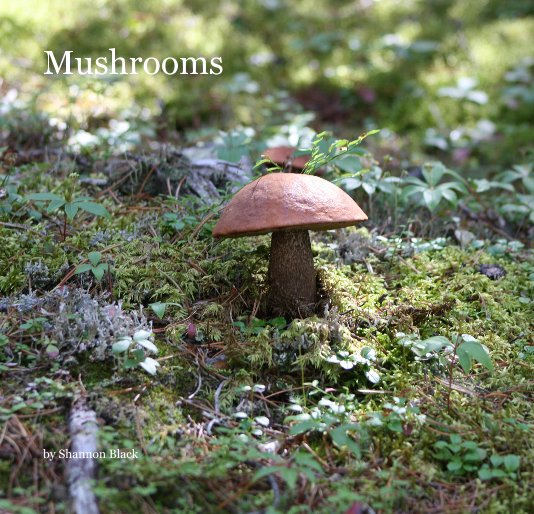 Ver Mushrooms por Shannon Black