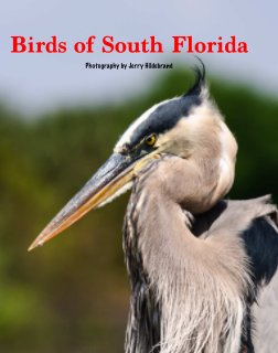 Birds of South Florida book cover