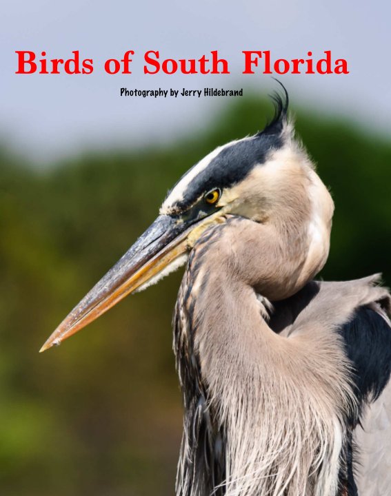 Visualizza Birds of South Florida di Jerry Hildebrand