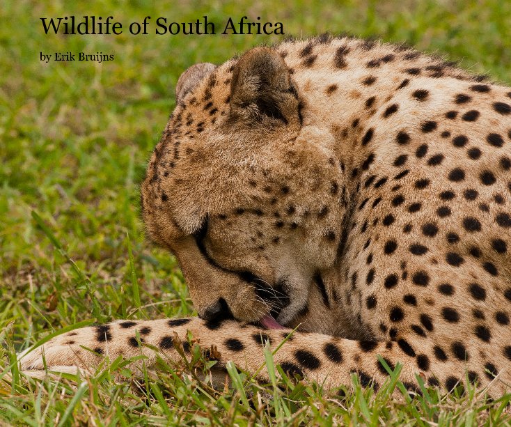 Wildlife of South Africa nach Erik Bruijns anzeigen