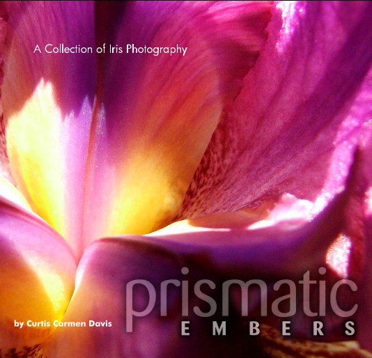 View Prismatic Embers by Curtis Carmen Davis