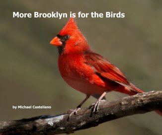 More Brooklyn is for the Birds book cover