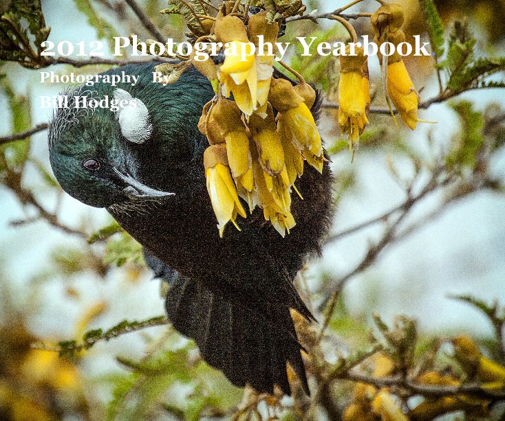 View 2012 Photography Yearbook. by Bill Hodges